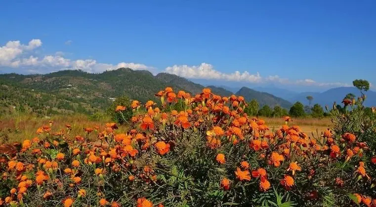 Hardik Resort
