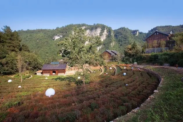 Harmona Resort & Spa Zhangjiajie - Dış Mekan