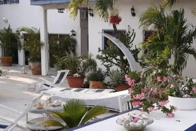 Harmony  B&B
