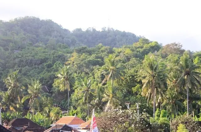 Harmony Guest House