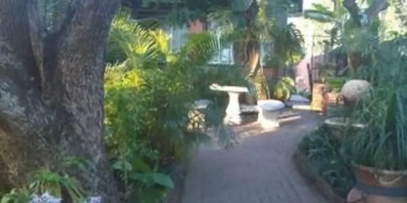 Harmony Guesthouse - Dış Mekan