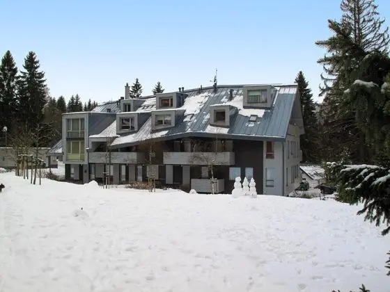 Harrachov Harrachov in Harrachov - Oda