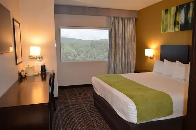 Harrah's Cherokee Valley River Casino & Hotel - Oda
