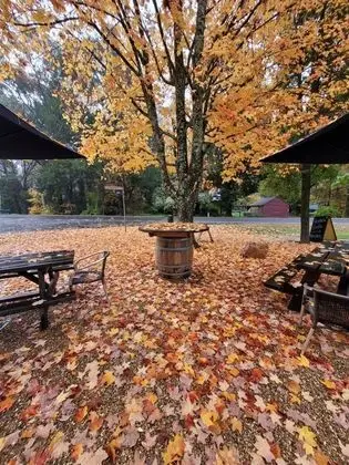 Harrietville Hotel Motel - Dış Mekan