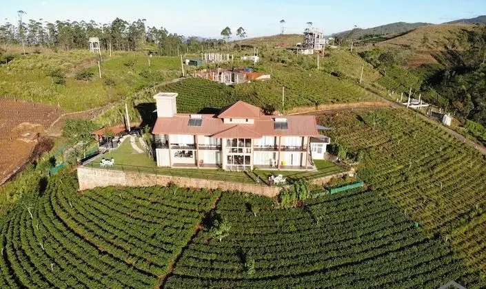 The Harrington Heritage Bungalow