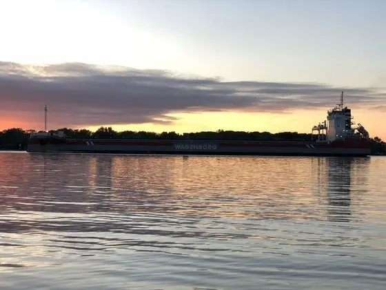 The Harsens Island Getaway Resort - Plaj