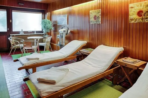 Harz Hotel Iris - Havuz