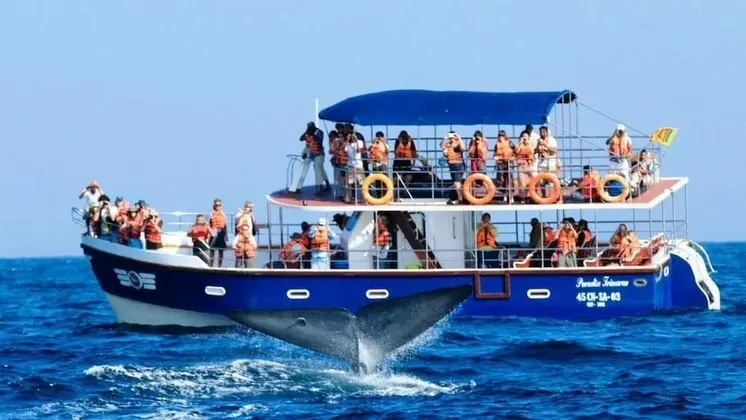 Hasara Guest House - Plaj