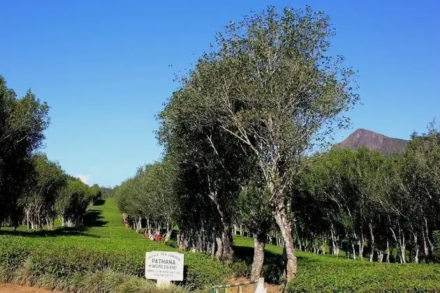 Hatale Mini Worlds End Bungalow - Dış Mekan