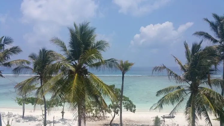HATHAA BEACH MALDIVES - Plaj