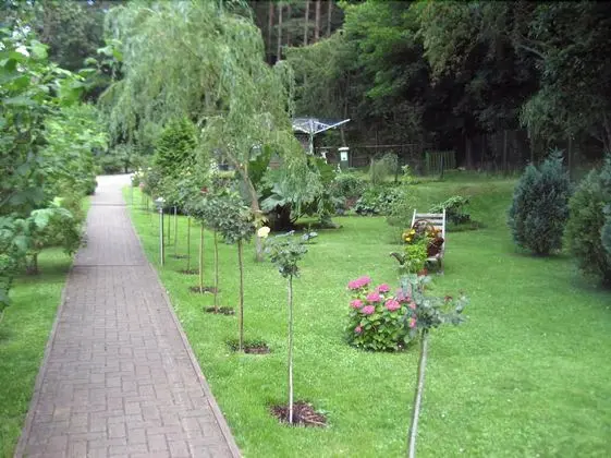 Haus Am Wald - Dış Mekan