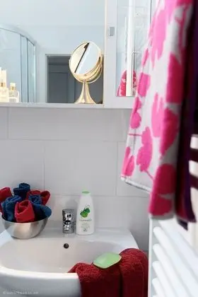 Haus Gronau - Banyo Tipleri