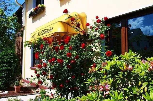 Hotel Haus Nussbaum