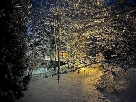 Hauser's Bayfield Cabin