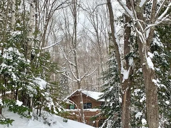 Hauser's Bayfield Cabin - Dış Mekan