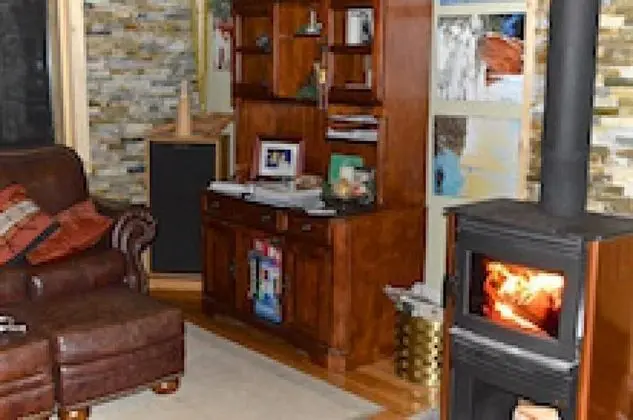 Hauser's Bayfield Cabin - Oda