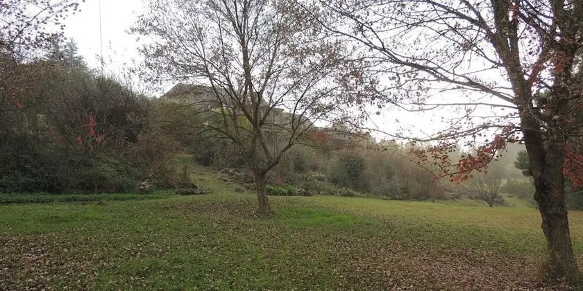 Hawklee Country House - Dış Mekan