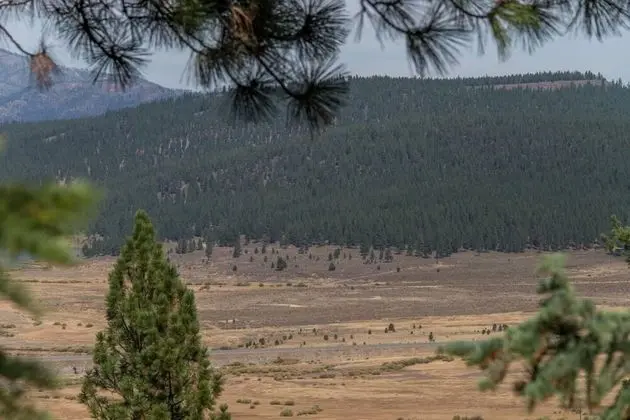Hawk's Eye by Avantstay Cozy Condo w/ Views & Access to Northstar Resort Community - İç Mekan
