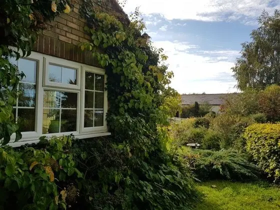 Hawthorn Farm Cottages - Oda