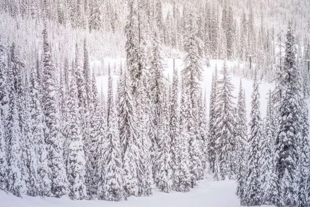 Hayden Lodge by iTrip Vacations Aspen Snowmass