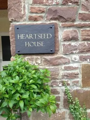 Heartseed House B&B - Dış Mekan