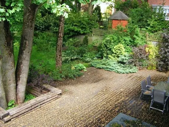 Heathfield Place - Dış Mekan