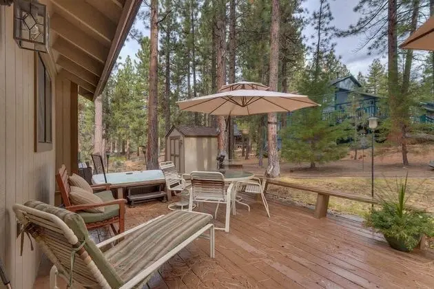 Heavenly Pines Close to the Lake