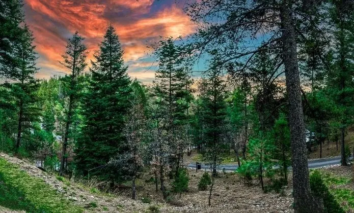 Heavenly Pines - Dış Mekan