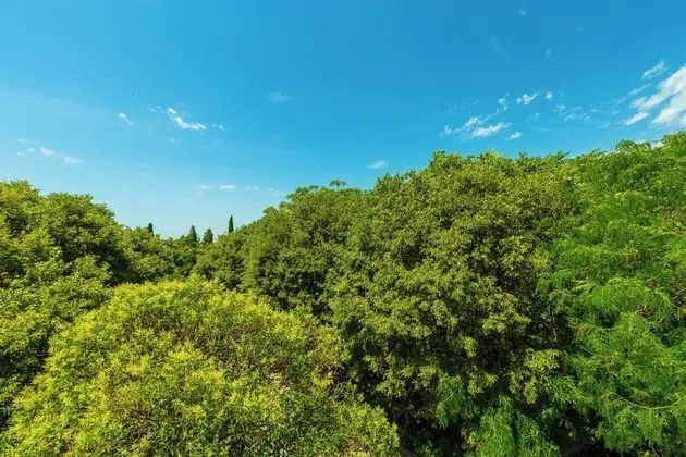 Hedera Estate, Hedera A1 - Dış Mekan