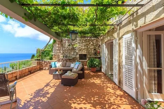 Hedera Estate, Hedera A13