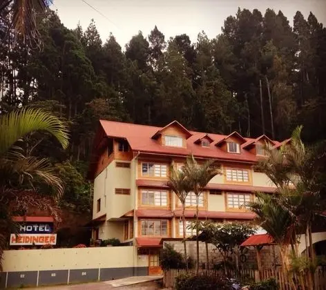 Hotel Heidinger - 1