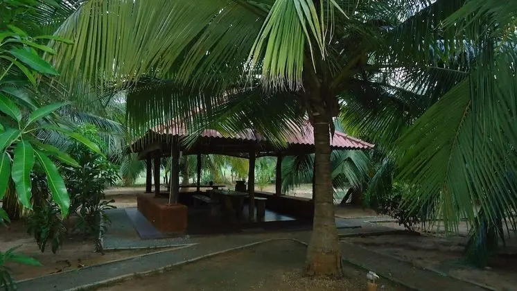 Heina Nature Resort & Yala Safari