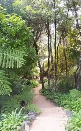 Hekerua Lodge Boutique Backpackers - Dış Mekan