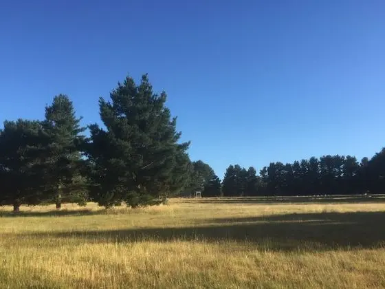 Helen's Homestead