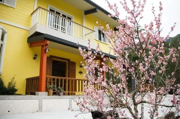 Hemerocallis Country House - Öne Çıkan Resim