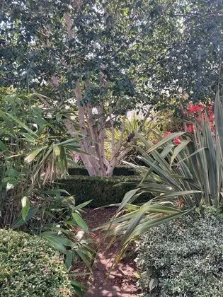 Hemples Lodge - Dış Mekan