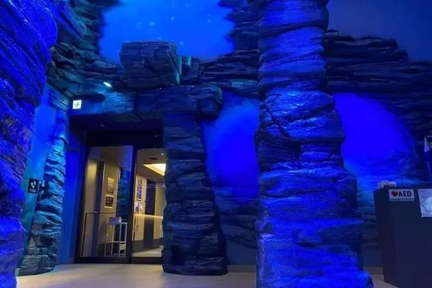 Henn na Hotel Kansai Airport - Dış Mekan