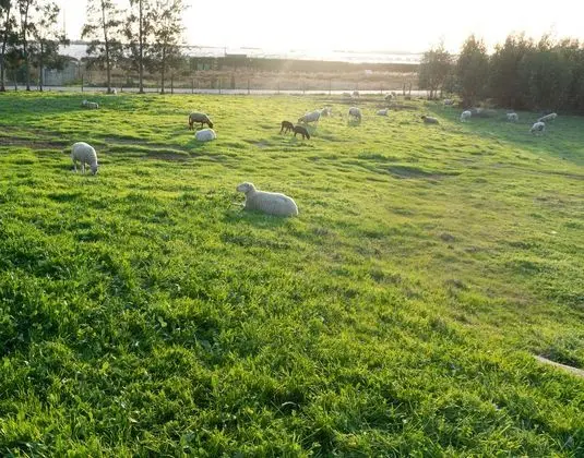 Herdade do Kuanza - Dış Mekan