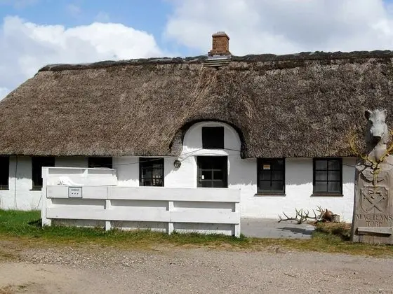 Heritage Cottage in Blåvand Amidst Forest