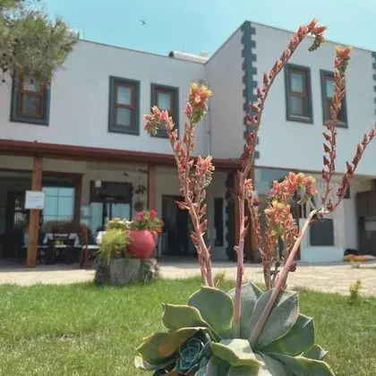 Herrera Otel & Tiny House