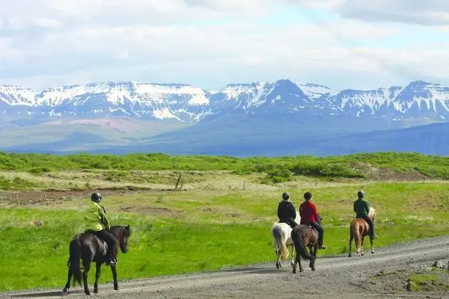 Hestaland Guesthouse