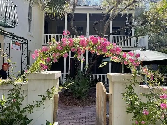 Hibiscus Coffee & Guesthouse - Dış Mekan