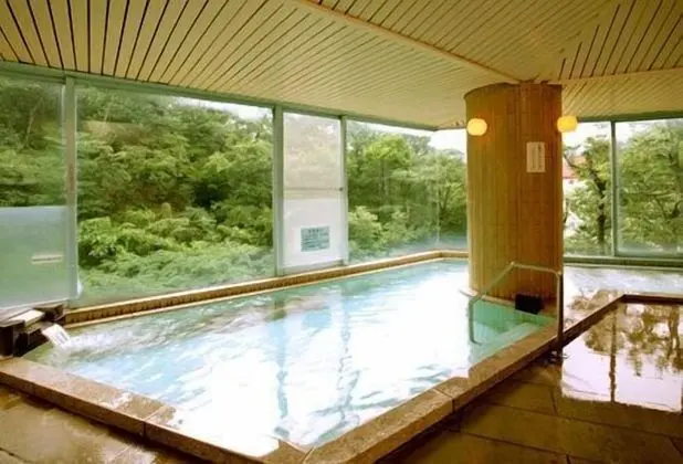 Hotel Hidamari - Havuz