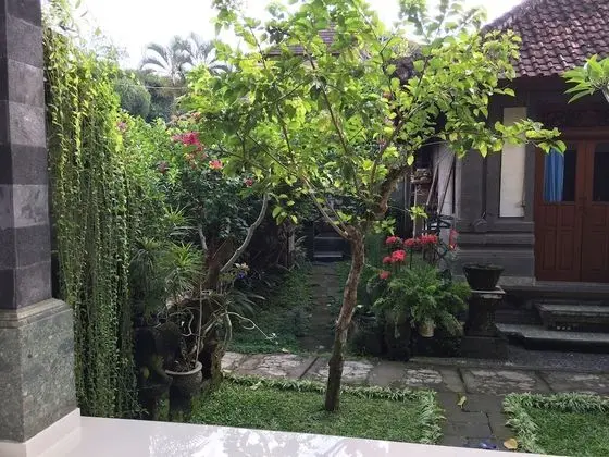 The Hidden Bali Inn - Dış Mekan