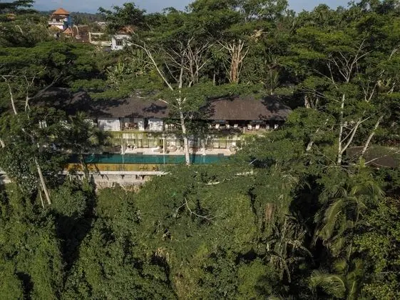 The Hidden Paradise Ubud