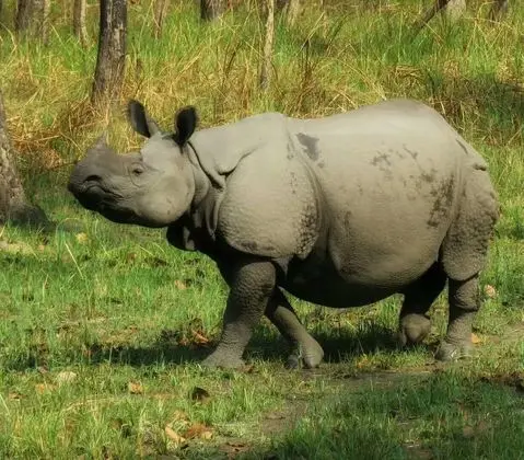 Hidden World Resort And Spa