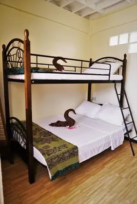 HideAway Dive Hostel - Oda