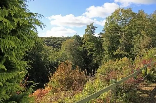 High Bickington Forest View 2 Bedrooms - İç Mekan