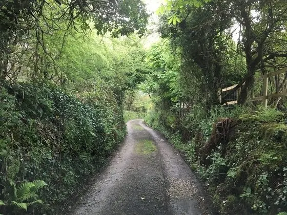 Higher Trenear Farm - Dış Mekan