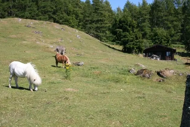 Highgarry Lodges - Dış Mekan